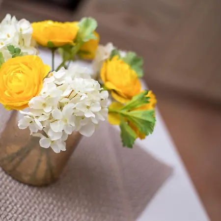 Tatil Evi Kamara Antica